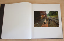 Load image into Gallery viewer, A Period Of Juvenile Prosperity | Special Edition