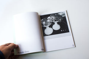 NOBUYOSHI ARAKI | VINTAGE PRINTS