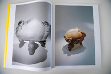 Load image into Gallery viewer, SCULPTURES