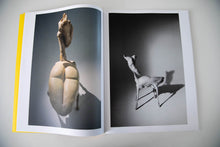 Load image into Gallery viewer, SCULPTURES