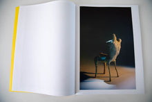 Load image into Gallery viewer, SCULPTURES