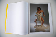 Load image into Gallery viewer, SCULPTURES