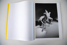 Load image into Gallery viewer, SCULPTURES