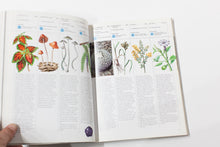 Load image into Gallery viewer, PLANTS OF THE GODS