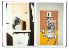 Load image into Gallery viewer, PLEASE SEND TO REAL LIFE
