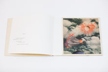 Load image into Gallery viewer, Picture Book | Hannah Hoch