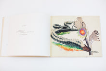 Load image into Gallery viewer, Picture Book | Hannah Hoch