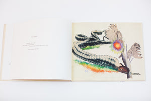 Picture Book | Hannah Hoch