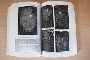 Psychedelics Encyclopedia