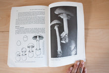 Load image into Gallery viewer, Psychedelics Encyclopedia