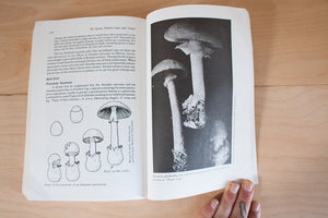 Psychedelics Encyclopedia