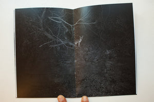 PSYCHIC WINDOWS | Zine