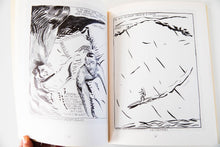 Load image into Gallery viewer, RAYMOND PETTIBON