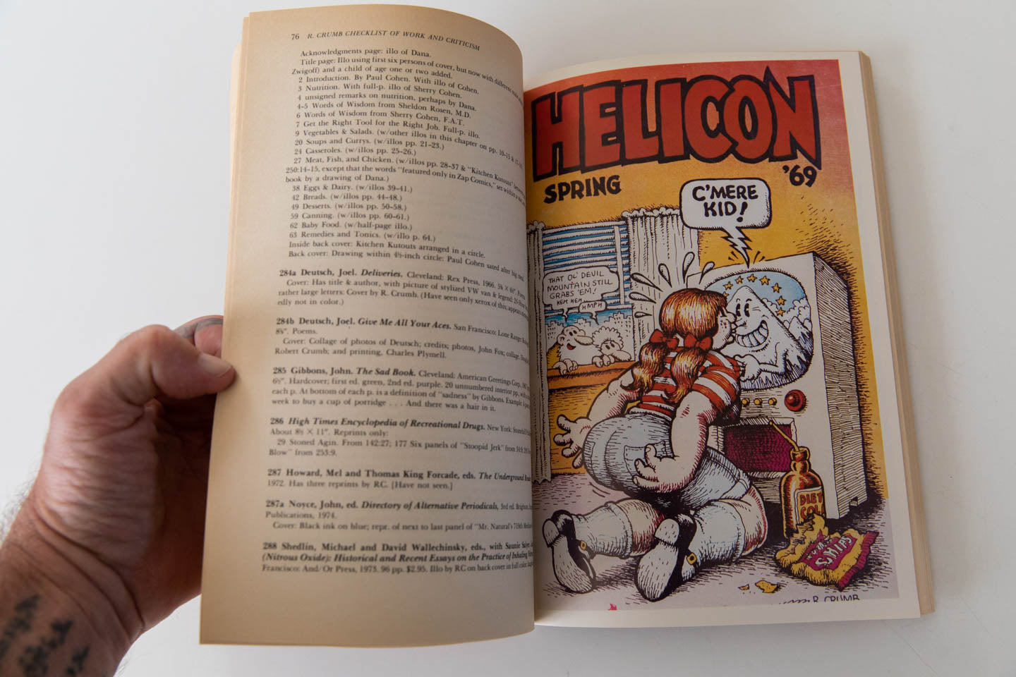 R CRUMB CHECKLIST THESE DAYS