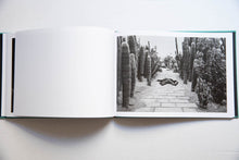 Load image into Gallery viewer, SAGACITY