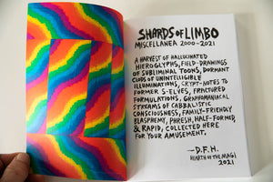 SHARDS OF LIMBO