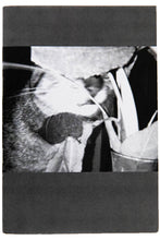 Load image into Gallery viewer, SHOT IN THE DARK