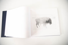 Load image into Gallery viewer, SOME SAY ICE