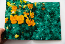 Load image into Gallery viewer, SYNCHRONICITY
