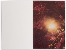 Load image into Gallery viewer, Moonmilk