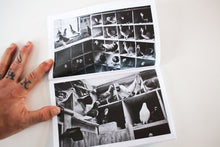 Load image into Gallery viewer, Barber Shops &amp; Pigeon Coops