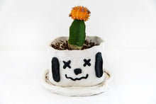 Load image into Gallery viewer, SNOPPY PLANTER