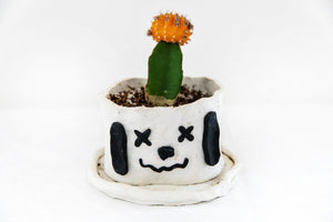 SNOPPY PLANTER