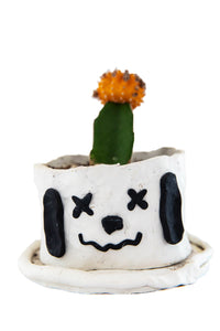 SNOPPY PLANTER