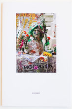 Load image into Gallery viewer, STONED