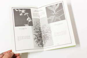 THE COMPLETE CANNABIS CULTIVATOR | Everything You Need To Know About Growing Pot