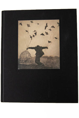 THE ARCHITECT'S BROTHER