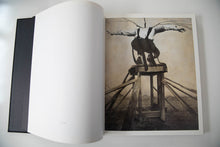 Load image into Gallery viewer, THE ARCHITECT&#39;S BROTHER