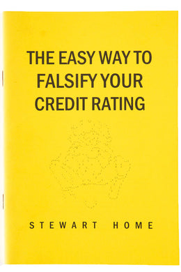 THE EASY WAY TO FALSIFY YOUR CREDIT RATING