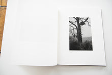 Load image into Gallery viewer, THE LOCUSTS
