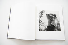 Load image into Gallery viewer, THE LOCUSTS