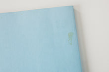 Load image into Gallery viewer, THE SINKING BEAR | A NEWSLETTER