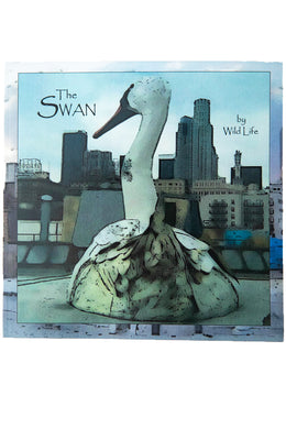 THE SWAN