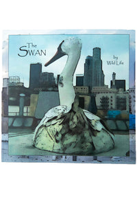 THE SWAN