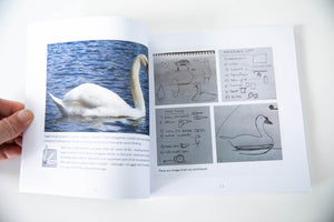 THE SWAN