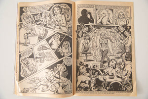THRASHER COMICS NO. 2