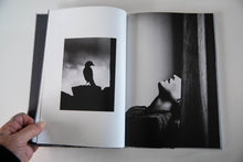 Load image into Gallery viewer, TRANSFIGURATION