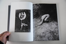 Load image into Gallery viewer, TRANSFIGURATION