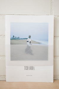 Tchamba