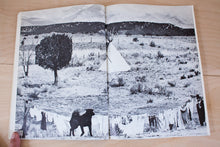 Load image into Gallery viewer, The Alternative | Communal Life in New America