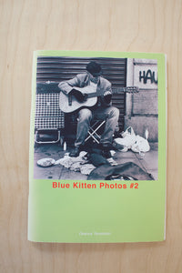 Blue Kitten Photos #1, 2, & 3