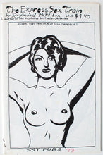 Load image into Gallery viewer, Raymond Pettibon | The Express Sex Train