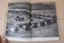 Load image into Gallery viewer, The Los Angeles Book