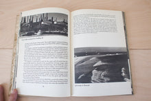 Load image into Gallery viewer, The Los Angeles Book