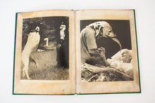 Load image into Gallery viewer, The Loves Of The Poets