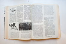 Load image into Gallery viewer, The Movement Toward A New America